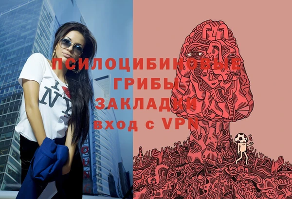 амф Абинск