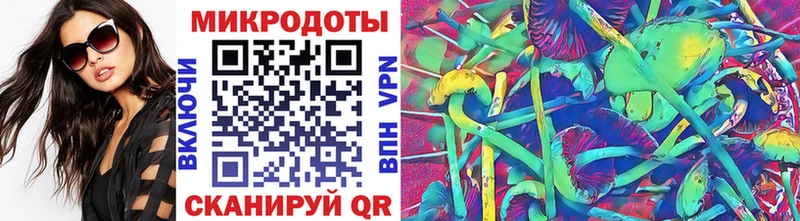 Псилоцибиновые грибы Psilocybine cubensis Ачхой-Мартан